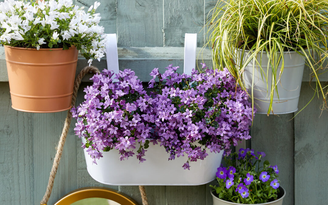 LOVE YOUR GARDEN WITH DEALZ