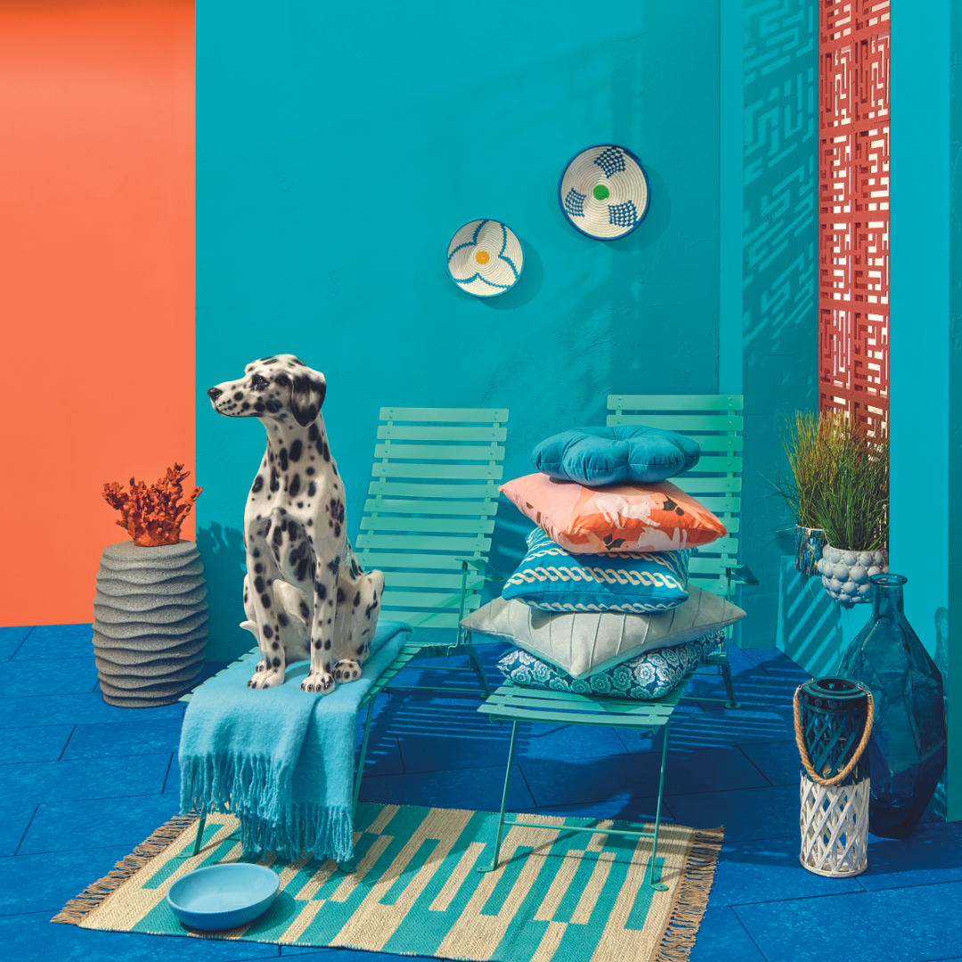 PAWFECT PET ESSENTIALS AT HOMESENSE Westend Shopping